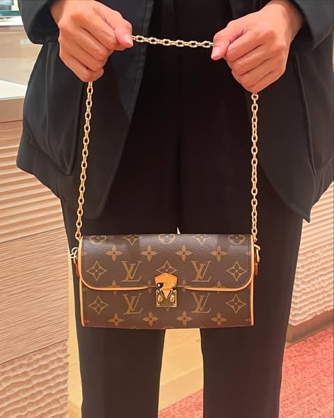 LV Pochette Camille 20.5 × 11 × 6 cm